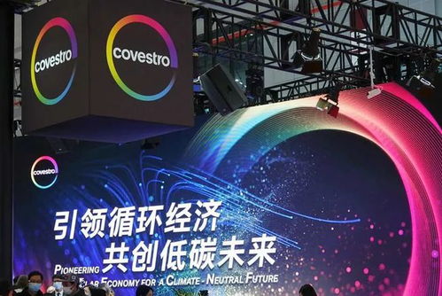 新投資 新合作 新訂單,這個進博會 新朋友 超有料